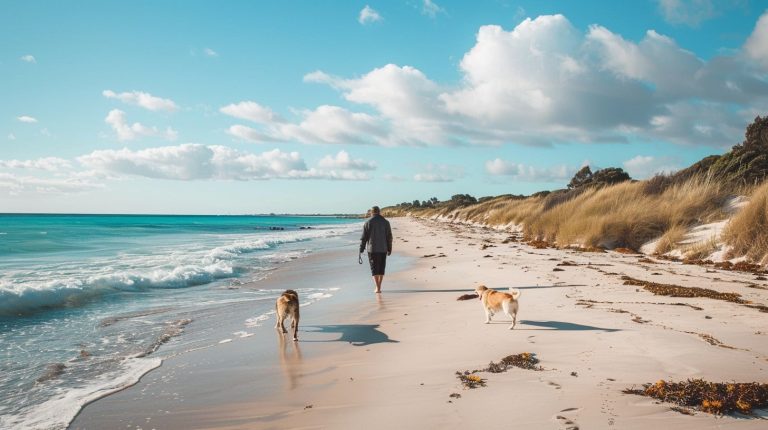 Are dogs allowed on Burns Beach?